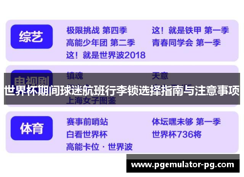 世界杯期间球迷航班行李锁选择指南与注意事项