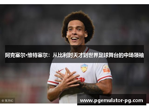 阿克塞尔·维特塞尔：从比利时天才到世界足球舞台的中场领袖