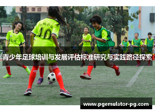 青少年足球培训与发展评估标准研究与实践路径探索
