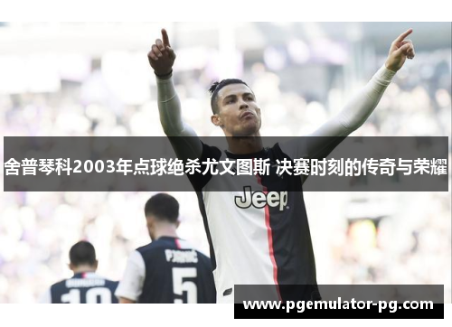 舍普琴科2003年点球绝杀尤文图斯 决赛时刻的传奇与荣耀
