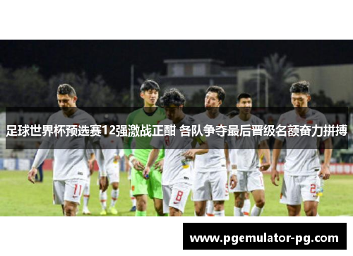 足球世界杯预选赛12强激战正酣 各队争夺最后晋级名额奋力拼搏