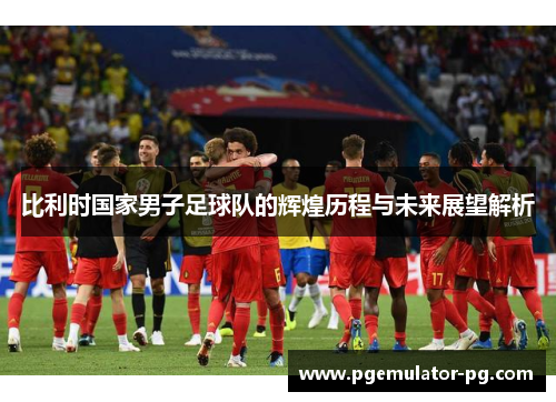 比利时国家男子足球队的辉煌历程与未来展望解析