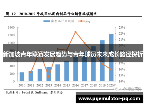 新加坡青年联赛发展趋势与青年球员未来成长路径探析