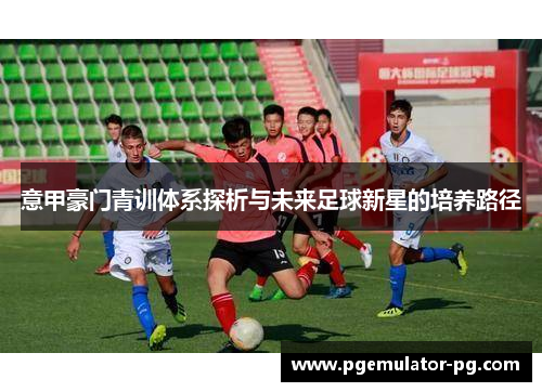 意甲豪门青训体系探析与未来足球新星的培养路径