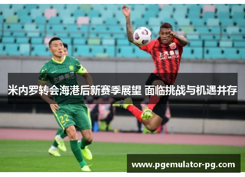 米内罗转会海港后新赛季展望 面临挑战与机遇并存