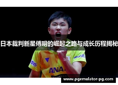 日本裁判新星傅明的崛起之路与成长历程揭秘
