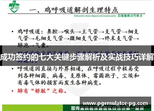 成功签约的七大关键步骤解析及实战技巧详解