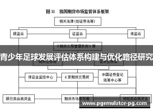 青少年足球发展评估体系构建与优化路径研究