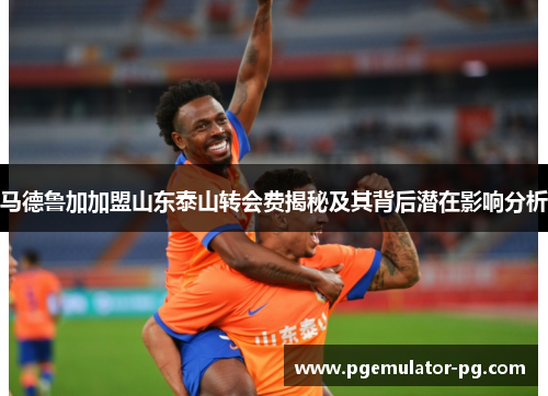 马德鲁加加盟山东泰山转会费揭秘及其背后潜在影响分析