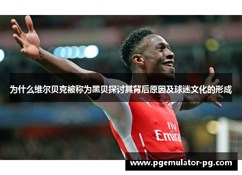 为什么维尔贝克被称为黑贝探讨其背后原因及球迷文化的形成 为什么维尔贝克被称为黑贝探讨其背后原因及球迷文化的形成