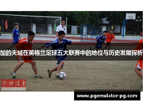 加的夫城在英格兰足球五大联赛中的地位与历史发展探析 加的夫城在英格兰足球五大联赛中的地位与历史发展探析