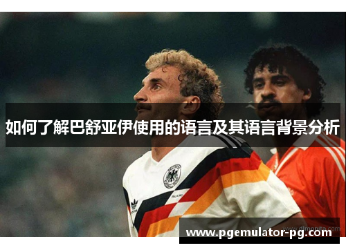 如何了解巴舒亚伊使用的语言及其语言背景分析 如何了解巴舒亚伊使用的语言及其语言背景分析