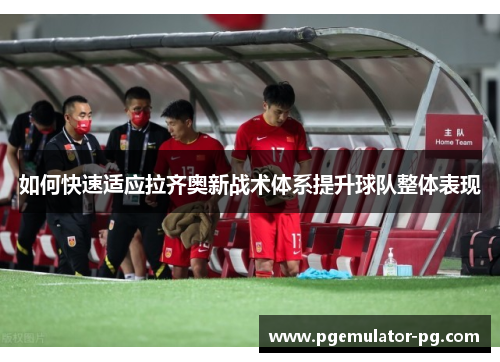 如何快速适应拉齐奥新战术体系提升球队整体表现