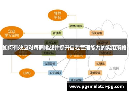 如何有效应对每周挑战并提升自我管理能力的实用策略
