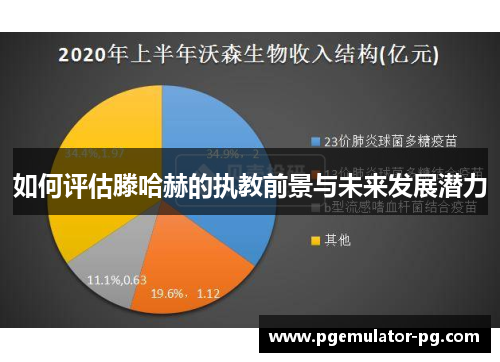 如何评估滕哈赫的执教前景与未来发展潜力