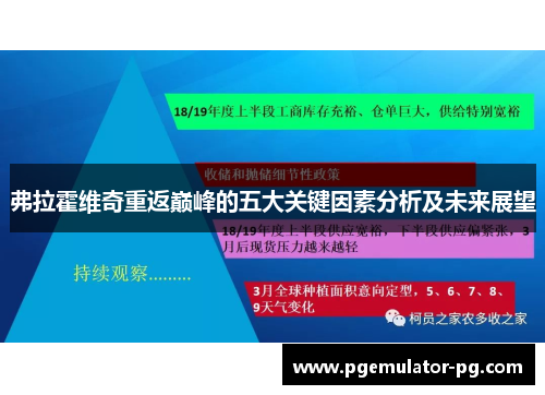 弗拉霍维奇重返巅峰的五大关键因素分析及未来展望