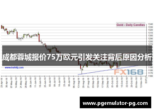 成都蓉城报价75万欧元引发关注背后原因分析