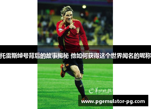 托雷斯绰号背后的故事揭秘 他如何获得这个世界闻名的昵称