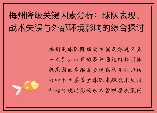 梅州降级关键因素分析：球队表现、战术失误与外部环境影响的综合探讨